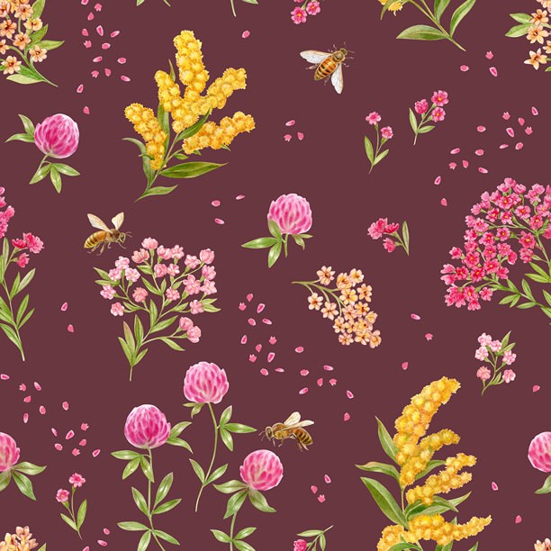 野花与蜜蜂，图案。深酒红色背景。水彩插图。图片下载