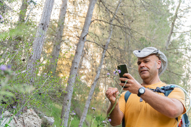 植物学家徒步旅行者用手机拍摄花朵的照片图片下载