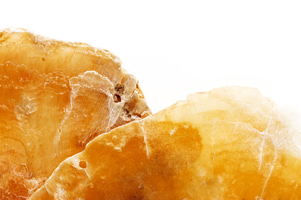 美学质感海贝壳，宏观趋势照片，自然之美抽象背景，贝壳单色表面，蛤蜊特写，俯视场景，海洋之美与有机细节，自然图案图片下载