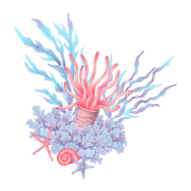 海洋组成，包括珊瑚、海藻、海星和贝壳。海洋生物。水彩和马克笔插图。手绘孤立艺术。适合夏季设计、包装和化妆品的自然水下风格。图片下载