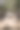 这张照片展示了一条宁静的森林小径，柔和的阳光透过树木洒下，投射出长长的阴影在森林地面上，营造出一种宁静自然的氛围。图片下载
