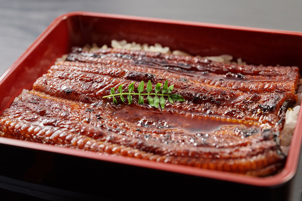 照烧鳗鱼的图片，传统的日本河鱼菜肴图片下载