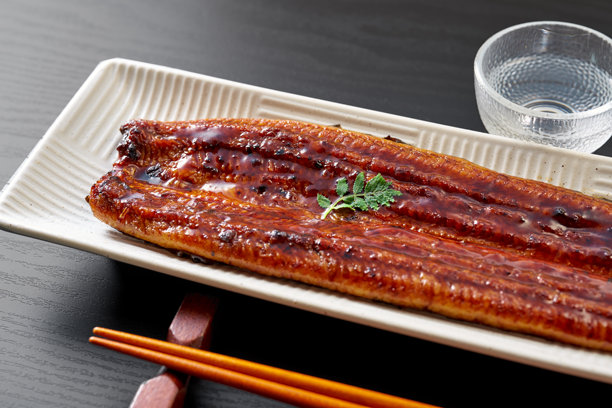 照烧鳗鱼的图片，传统的日本河鱼菜肴图片下载