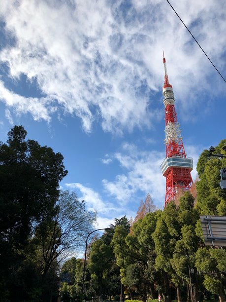 东京，日本 2020年1月1日 东京塔，日本标志性的红白色地标。一座顶部为红色的红白色塔。竖版照片图片下载