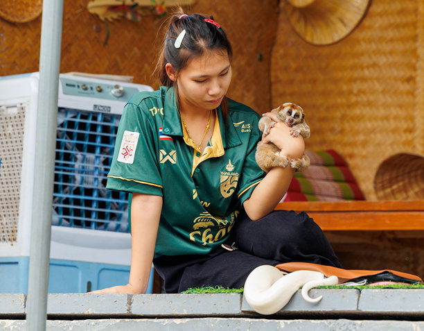 市场商贩提供与懒猴一起的照片，游客们在泰国达蒙萨杜克的水上市场乘船游览。图片下载