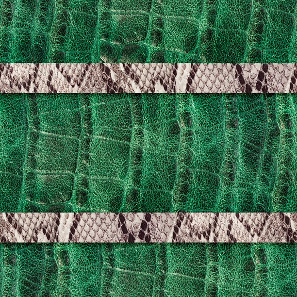 无缝的4K照片纹理材料，带有压花绿色爬行动物专利皮革和带子。图片下载