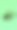 欧洲公鹿虫的特写照片，背景为绿色。欧洲公鹿虫，雄性。受威胁昆虫物种的概念。图片下载