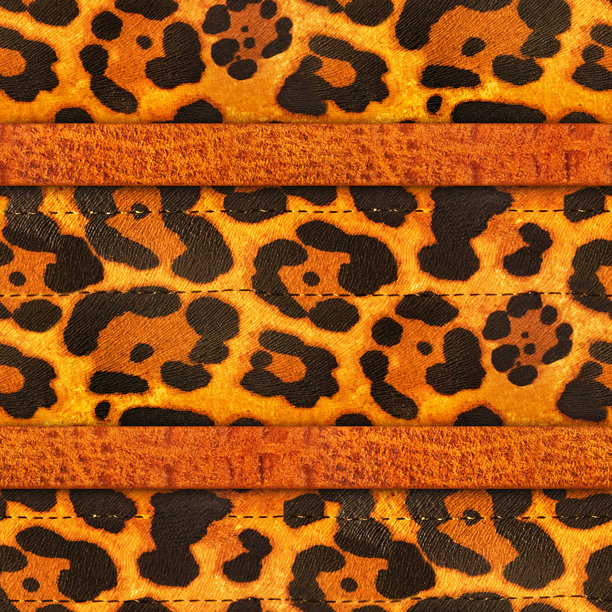 无缝的4K橙色豹纹皮革材质照片纹理，带有带子。图片下载