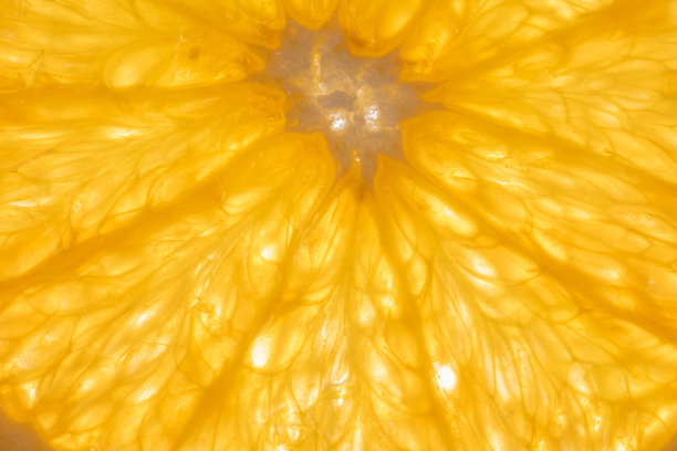 照片展示了一个切开的橙子的表面细节，背后有工作室灯光照射。图片下载