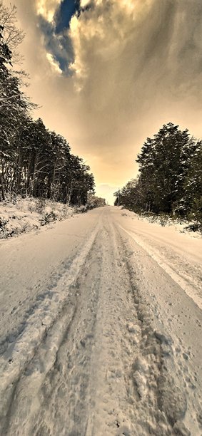 冬季图片图片下载