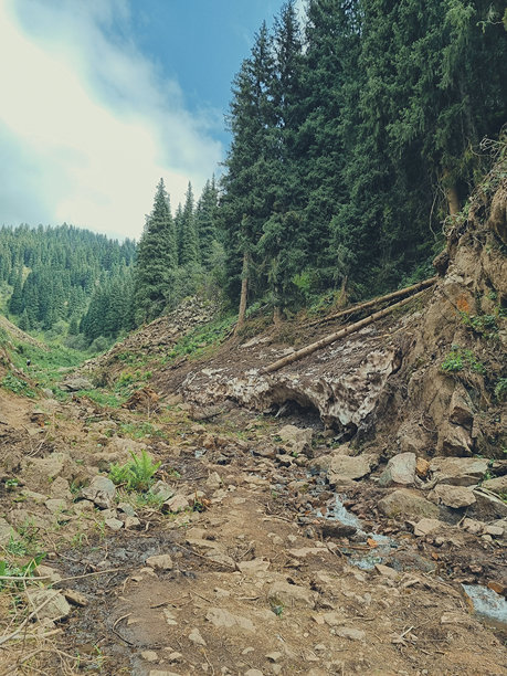 绿色森林中有溪流和夏季雪块的垂直照片图片下载