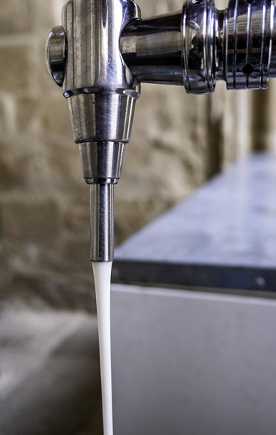 酒吧里的啤酒龙头图片下载