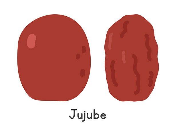 枣的扁平矢量插图。新鲜和干枣以卡通剪贴画风格呈现。也被称为中国枣或红枣。背景为白色。亚洲水果概念。图片下载