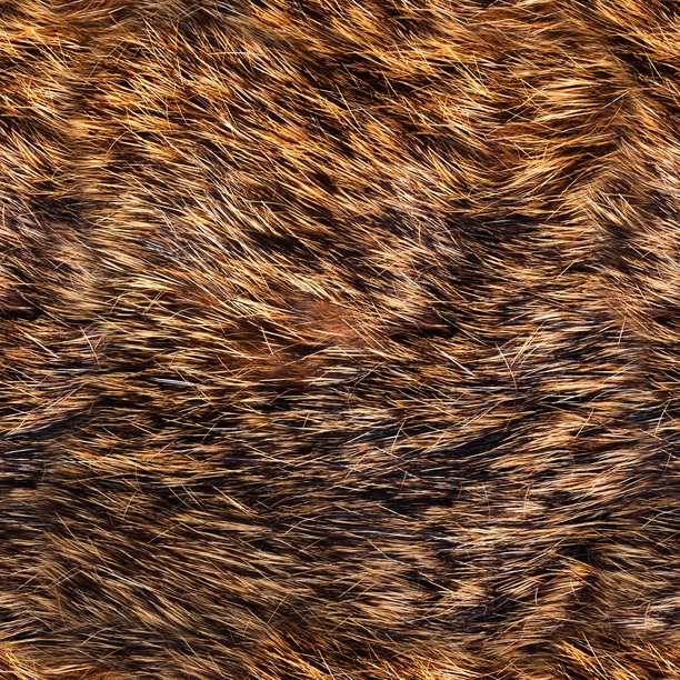 无缝的4K棕色和黑色毛皮材质照片纹理。图片下载