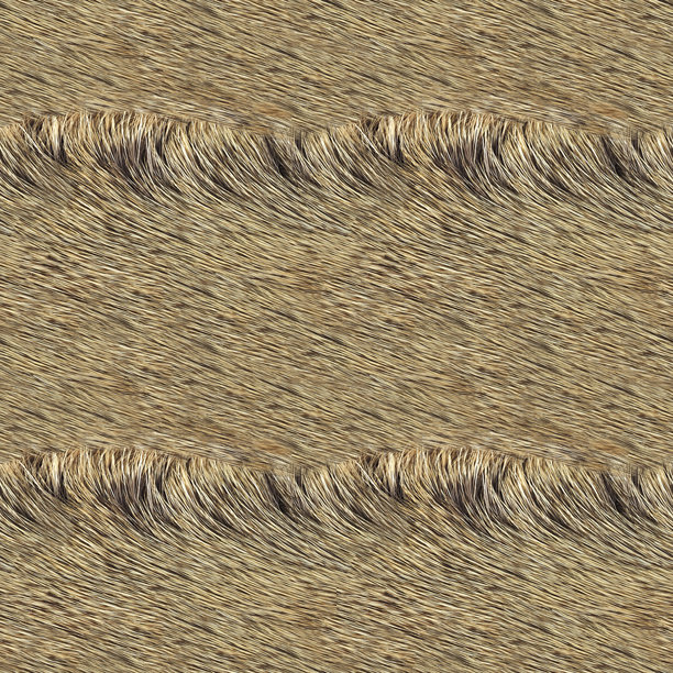 无缝的4K光棕色鹿毛材质纹理照片。图片下载