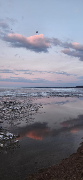 春季风景。美丽的海湾晨曦全景。明亮的光线下，水面上漂浮着积云。海岸线上有冰雪和岩石。阳光的光芒在海面上反射。竖版照片图片下载