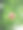 绿叶间的红色玫瑰花蕾。美丽的自然背景，竖版照片。图片下载
