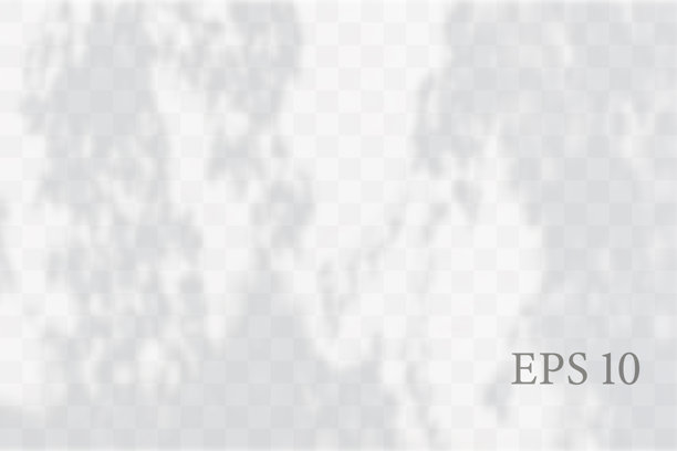 透明自然植物阴影。光效叠加。网格。树枝、植物、叶子和叶片在地面上的阴影。展示您的设计卡片、海报的照片真实感矢量图。图片下载