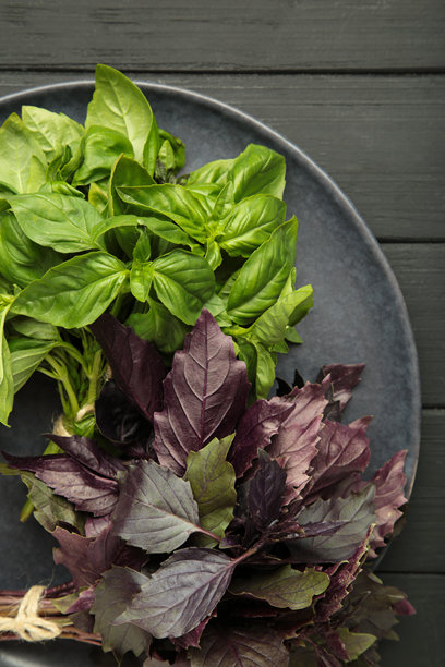 深色盘子上的绿色和紫色罗勒草，背景为黑色。竖版照片图片下载