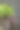 深色盘子上的绿色和紫色罗勒草，背景为黑色。竖版照片图片下载