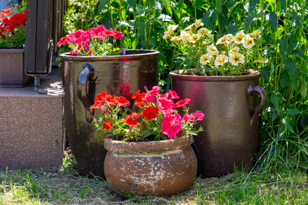 五彩缤纷的花朵种植在旧金属和陶土花盆中，排列在花园里。以绿叶为背景，搭配矮牵牛花和天竺葵，营造出迷人的复古风格装饰。图片下载