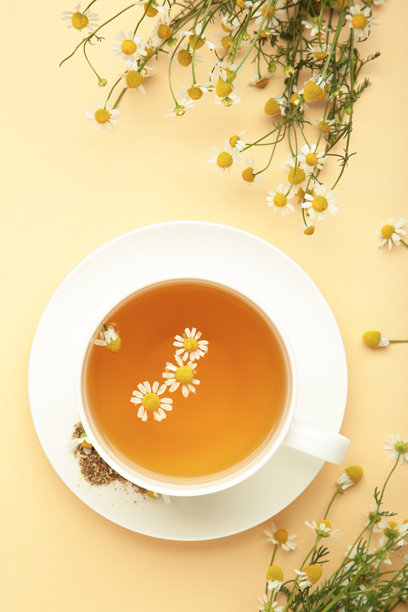 白色杯子里的香草茶和米色背景上的洋甘菊。竖版照片图片下载