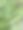 雨后湿润的绿叶上挂着水珠。此照片可用于园艺、环境或植物相关的视觉内容。图片下载