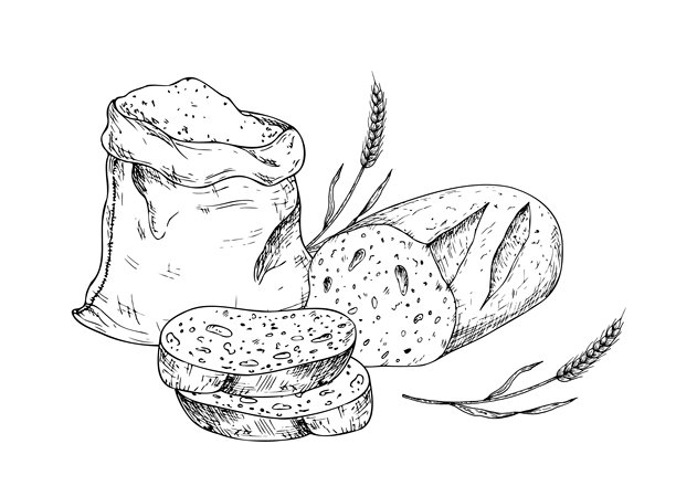 矢量切片面包和小麦在一个乡村风格的帆布袋中。复古轮廓手绘插图，完美适用于有机面包店品牌。详细设计非常适合农场到餐桌或丰收主题的内容。图形墨水袋装有面粉和谷物。适合设计师和印刷品。图片下载