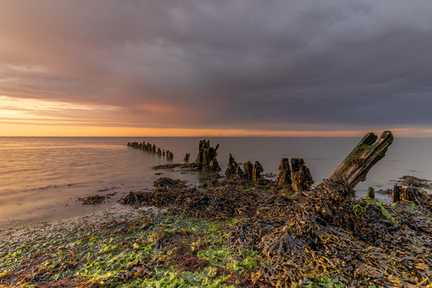 在雨中，瓦登海的木桩防波堤被海藻覆盖。这张图片捕捉了无常之美和瓦登海的永恒灵魂。图片下载
