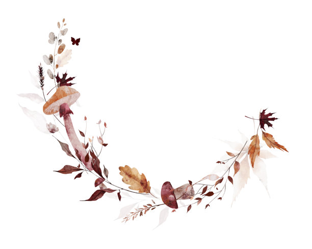 水彩秋季半圆形花环框架。橙色、酒红色的秋枫叶，蘑菇，野生树枝，蝴蝶图片下载