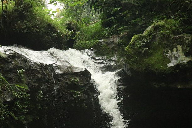 森林中的瀑布照片图片下载