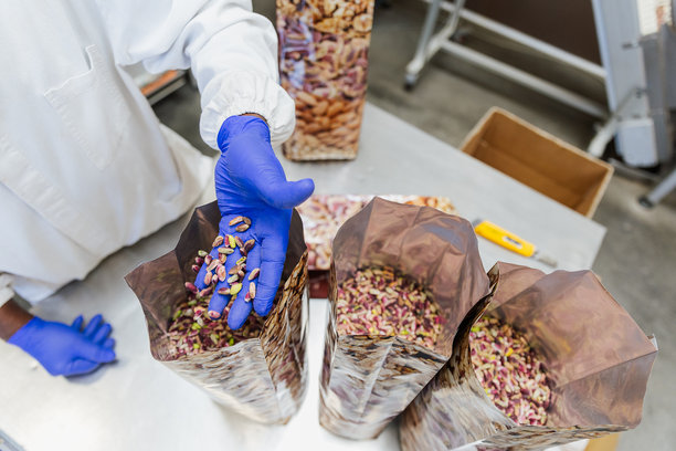 从上方看工人手将开心果放入包装袋中进行食品包装图片下载