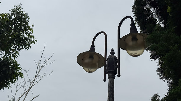 这张图片展示了一盏风化的经典街灯，配有两个灯球，背景是茂密的绿色树木和多云的天空。它暗示了一个户外环境，可能是公园或街道。图片下载