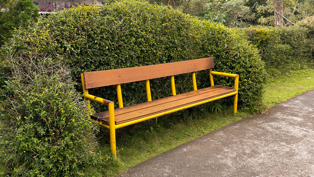 这张图片展示了一张带有黄色金属框架和木质板条的乡村公园长椅，放置在一片浓密的绿色树篱前。它暗示这是一个宁静的休息场所，适合在花园或公共区域使用。图片下载