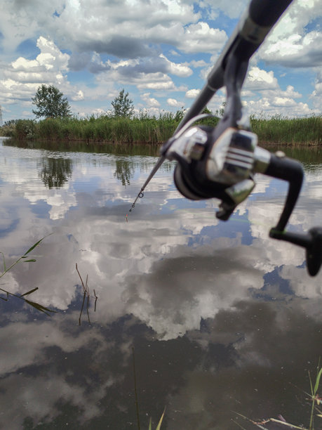 垂直照片，户外钓鱼场景。特写钓竿在宁静的小河水面上。钓鱼场景。图片下载