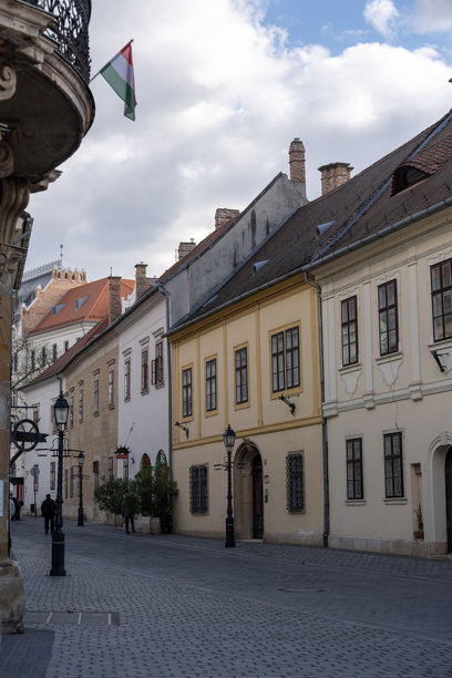 布达佩斯匈牙利布达城堡区街道旁的老式多彩房屋。竖版图片图片下载