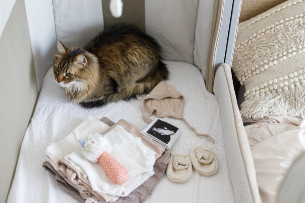 可爱的猫咪在婴儿床上睡觉，旁边有摇铃、婴儿衣物、玩具和超声波照片。怀孕和宠物的概念。为宝宝和动物朋友做好准备。图片下载