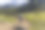 年轻男子在流畅的山地车道上骑行图片下载