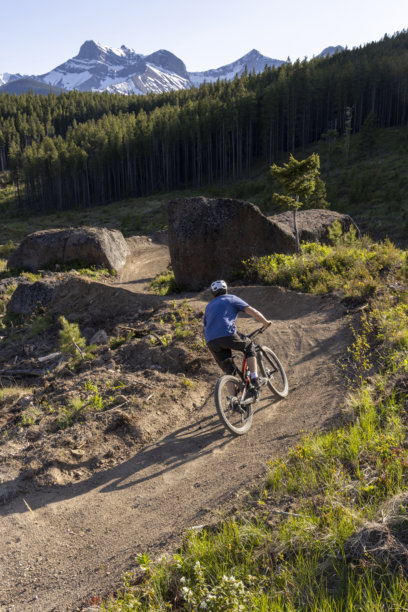 年轻男子在流畅的山地车道上骑行图片下载
