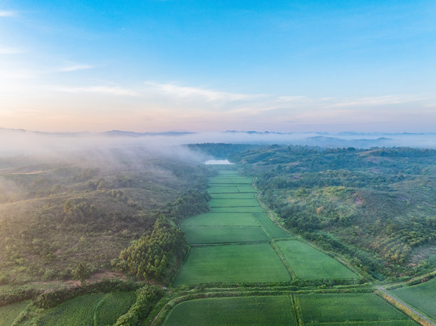 日出时分，山坡上的太阳能光伏航拍照片图片下载