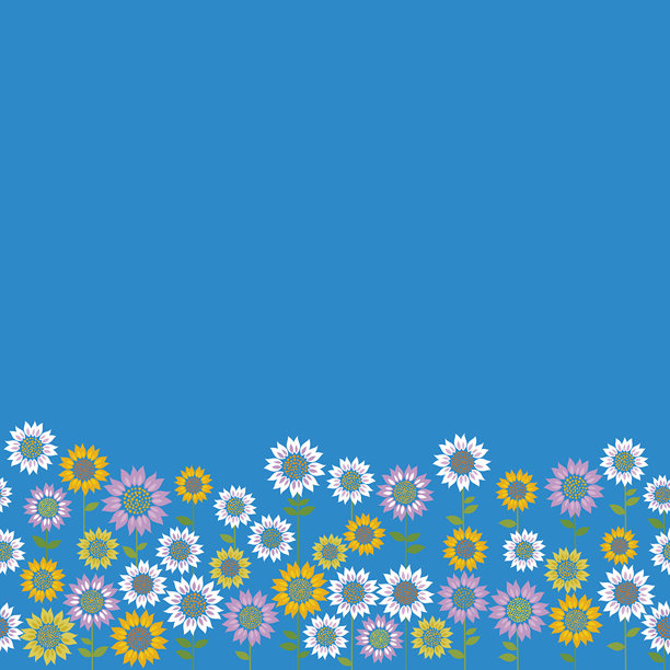 花的背景。夏天。图片下载