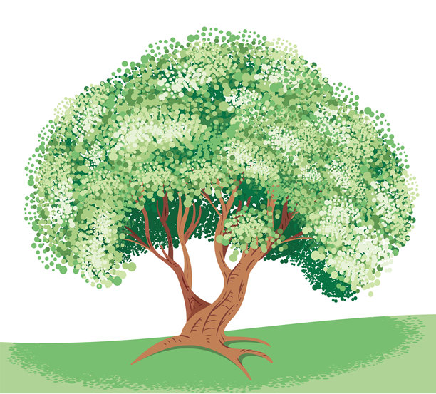 树和生活图片下载