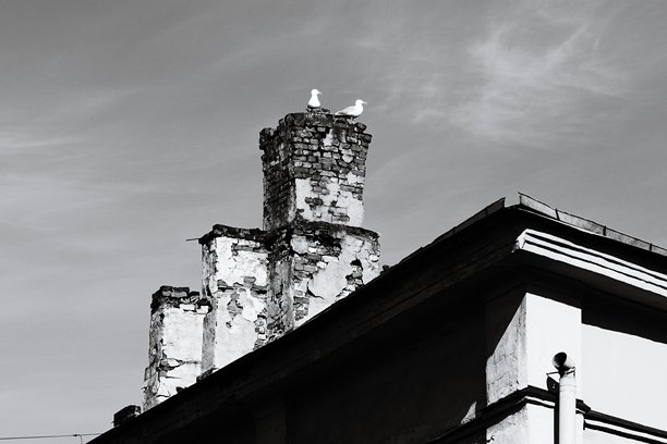 一张黑白照片，展示了一只鸟栖息在建筑顶部，适合用于建筑或自然主题的设计。图片下载