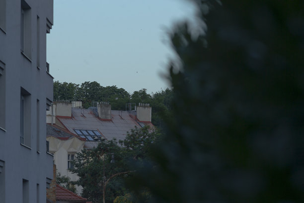 一张模糊的建筑照片，前景有一棵树。图片下载