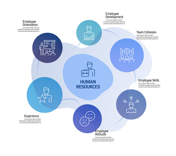 人力资源信息图表模板，元素和图标。简单的矢量信息图设计图片下载