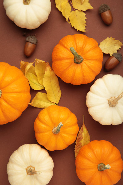 美丽的小南瓜与秋天的树叶在棕色背景上。竖版照片图片下载