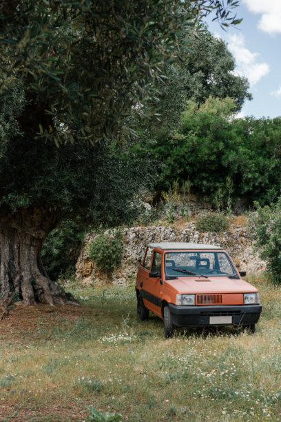 红色复古汽车停在橄榄树下，越野车图片下载