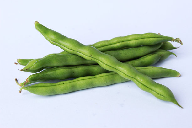 白底绿豆照片图片下载