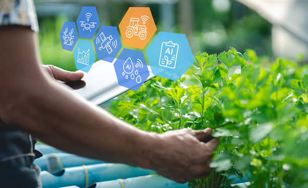 一个人使用平板电脑监控智能农业技术，数字图标代表人工智能、无人机和数据分析，背景是一片健康的绿色作物。图片下载
