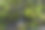 一条小溪形成了一个小瀑布，水流穿过覆盖着苔藓的岩石。这是一张美丽的山间河流照片。图片下载